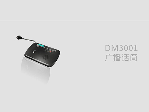 DM3001